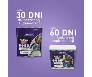 Muscle Endurance Complex 400g rozbudowa mięśni