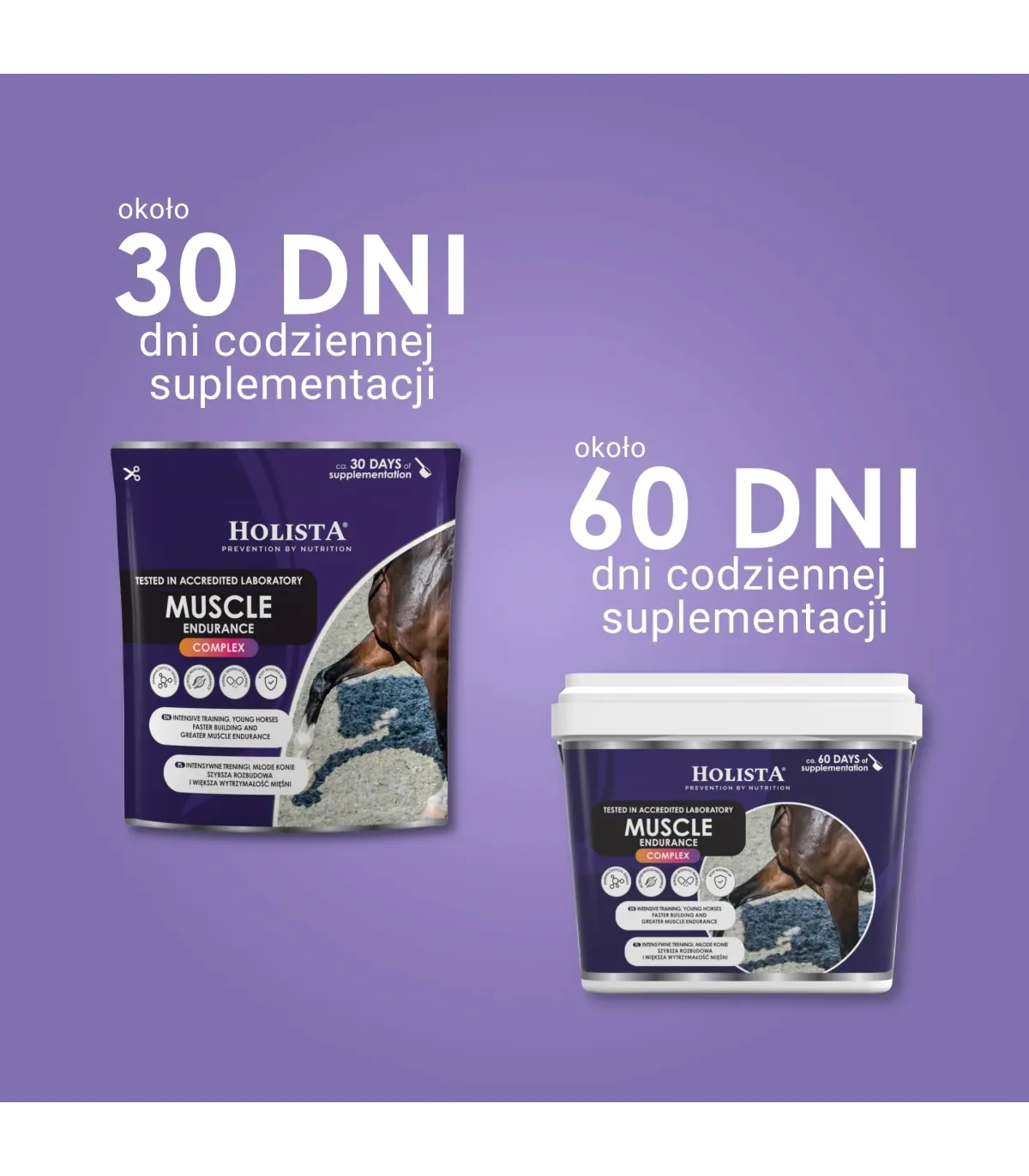 Muscle Endurance Complex 400g rozbudowa mięśni