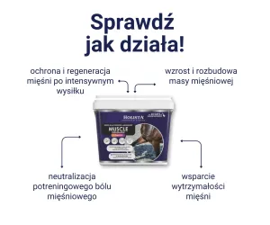 Muscle Endurance Complex 400g rozbudowa mięśni