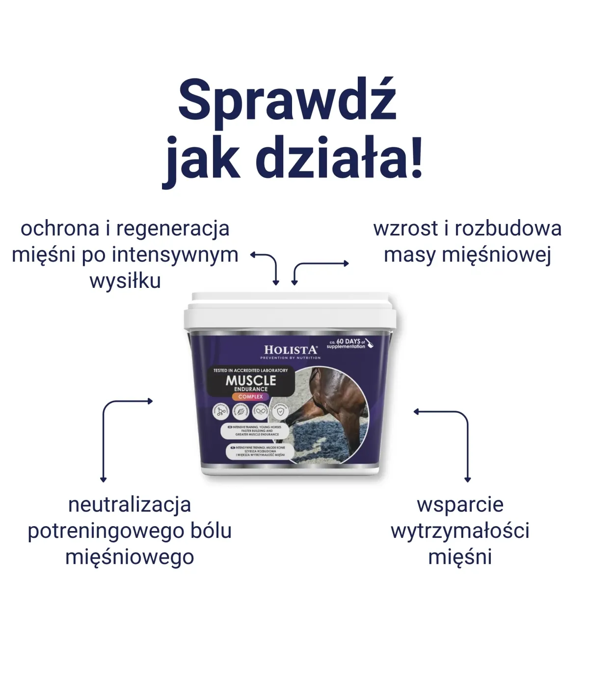Muscle Endurance Complex 800g rozbudowa mięśni