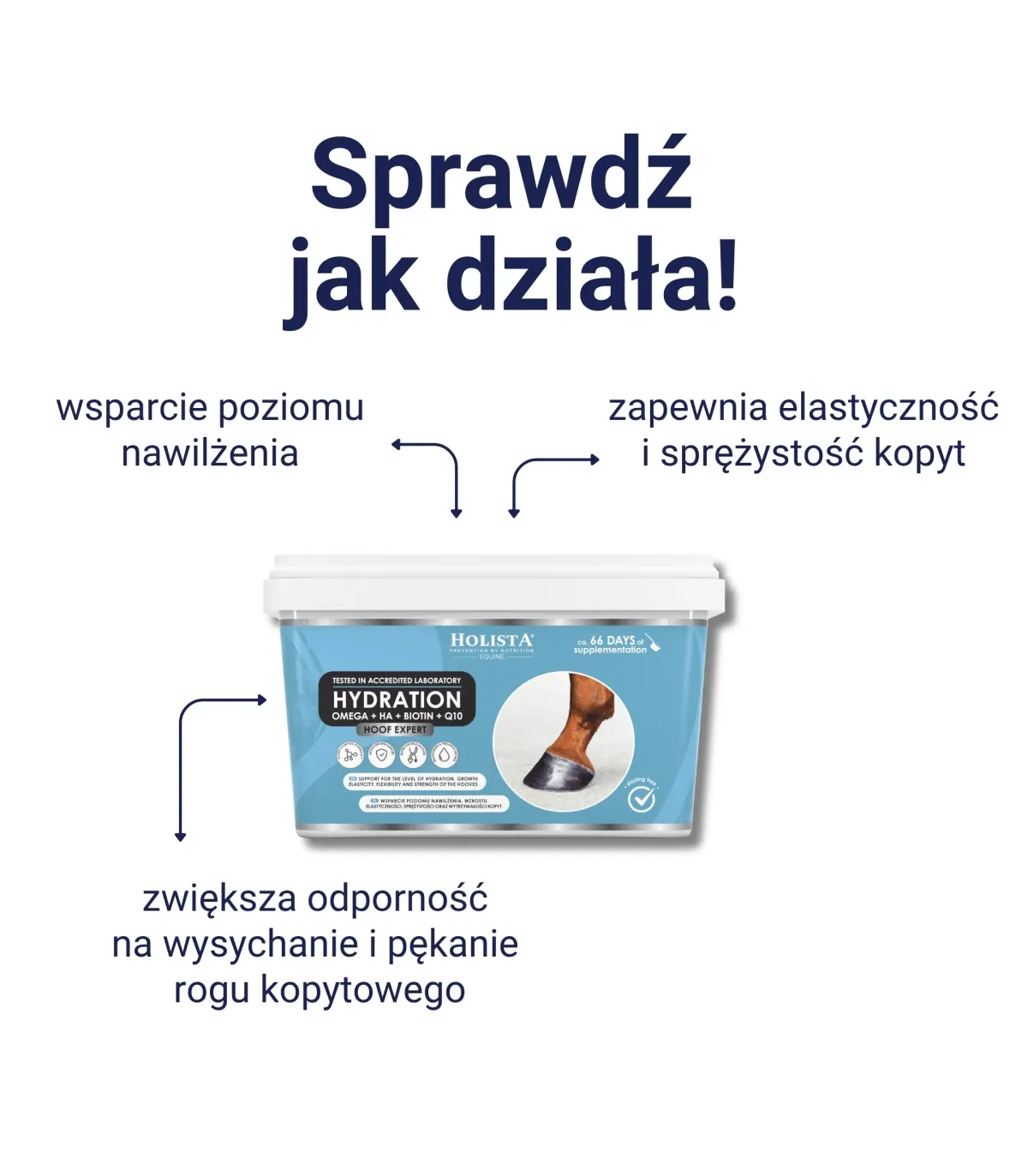 ZESTAW Stop Thrush 100ml + Hoof Expert Hydration 800g