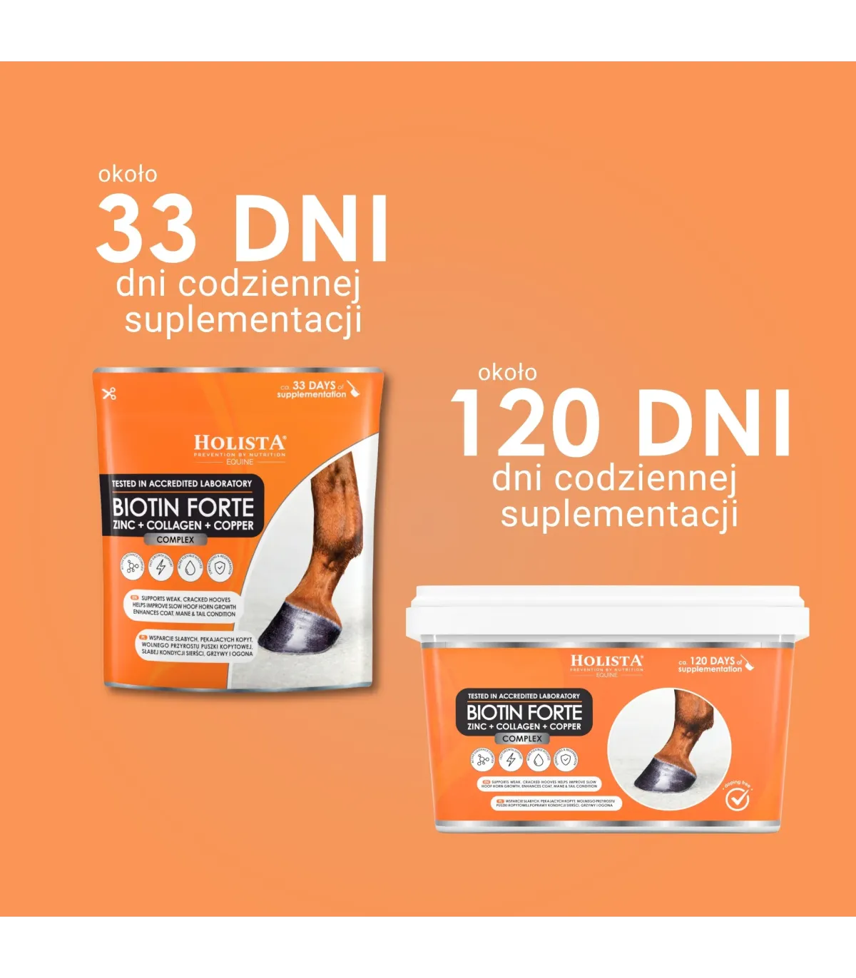 Biotin Forte 1800g + Wiadro elastyczne 17l z pokrywką GRATIS - Pakiet Startowy