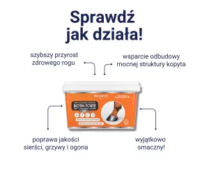 Biotin Forte 1800g + Wiadro elastyczne 17l z pokrywką GRATIS - Pakiet Startowy