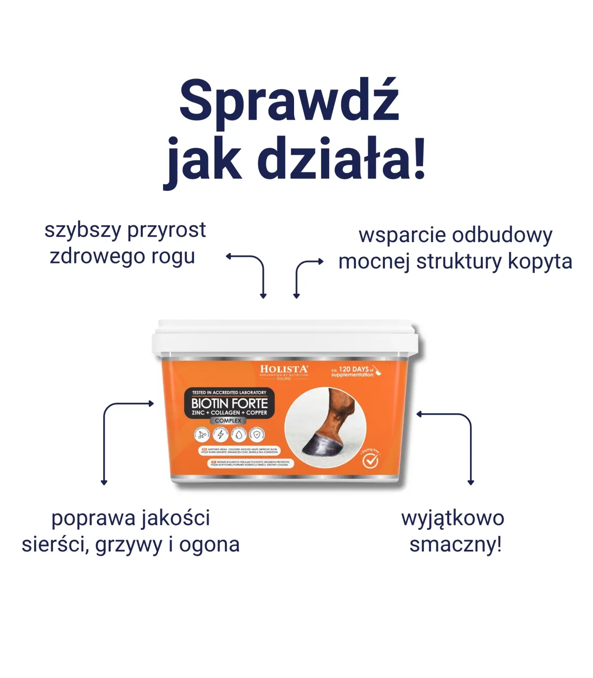 Biotin Forte 1800g kompleksowe wsparcie kondycji kopyt