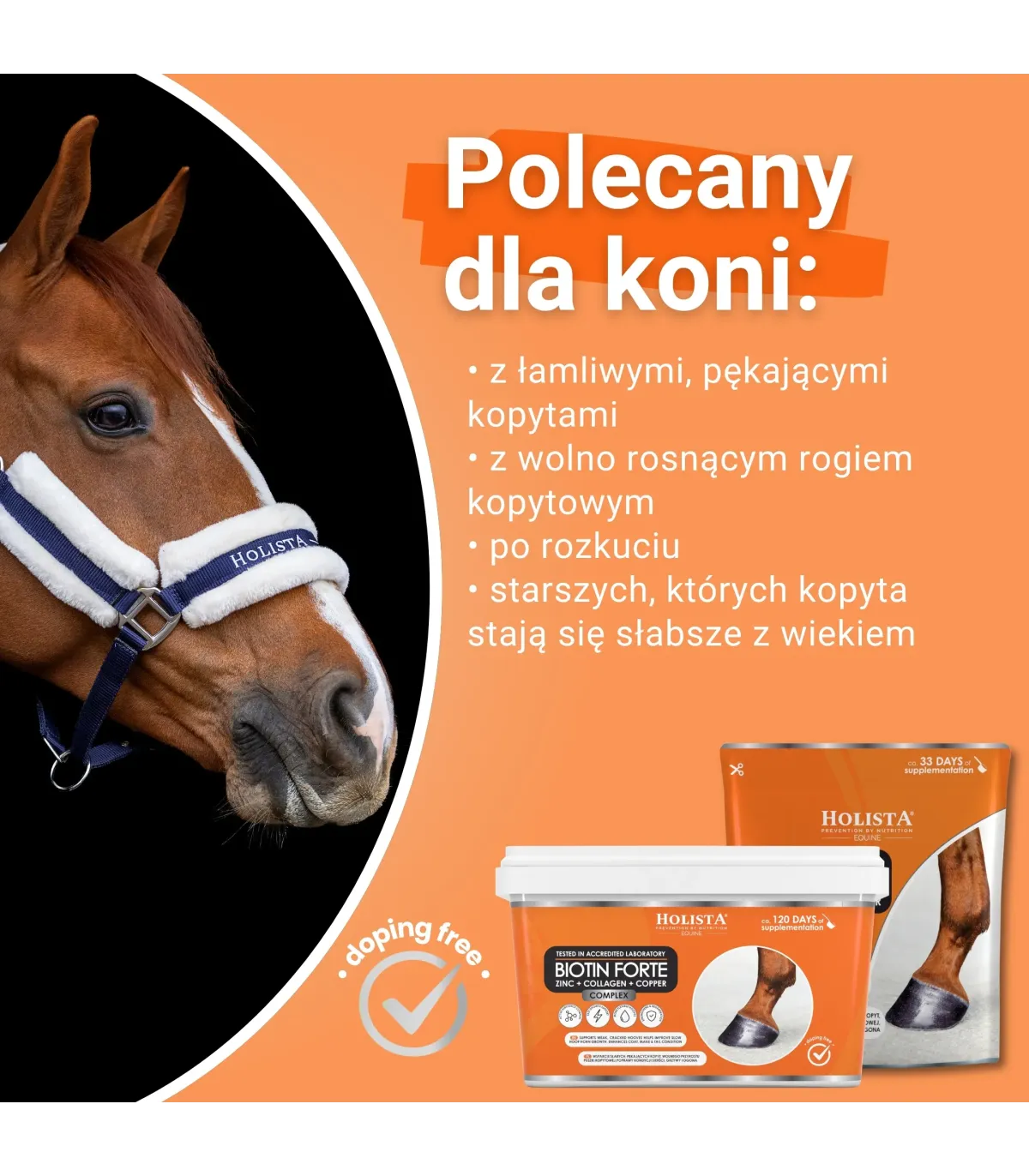 Biotin Forte 1800g + Wiadro elastyczne 17l z pokrywką GRATIS - Pakiet Startowy