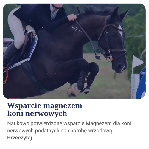 Wsparcie magnezem dla koni nerwowych